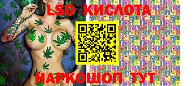 шишки Будённовск