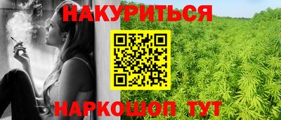 шишки Будённовск