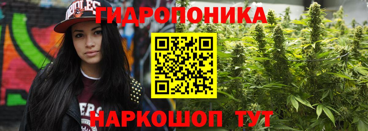 МАРИХУАНА план Полевской